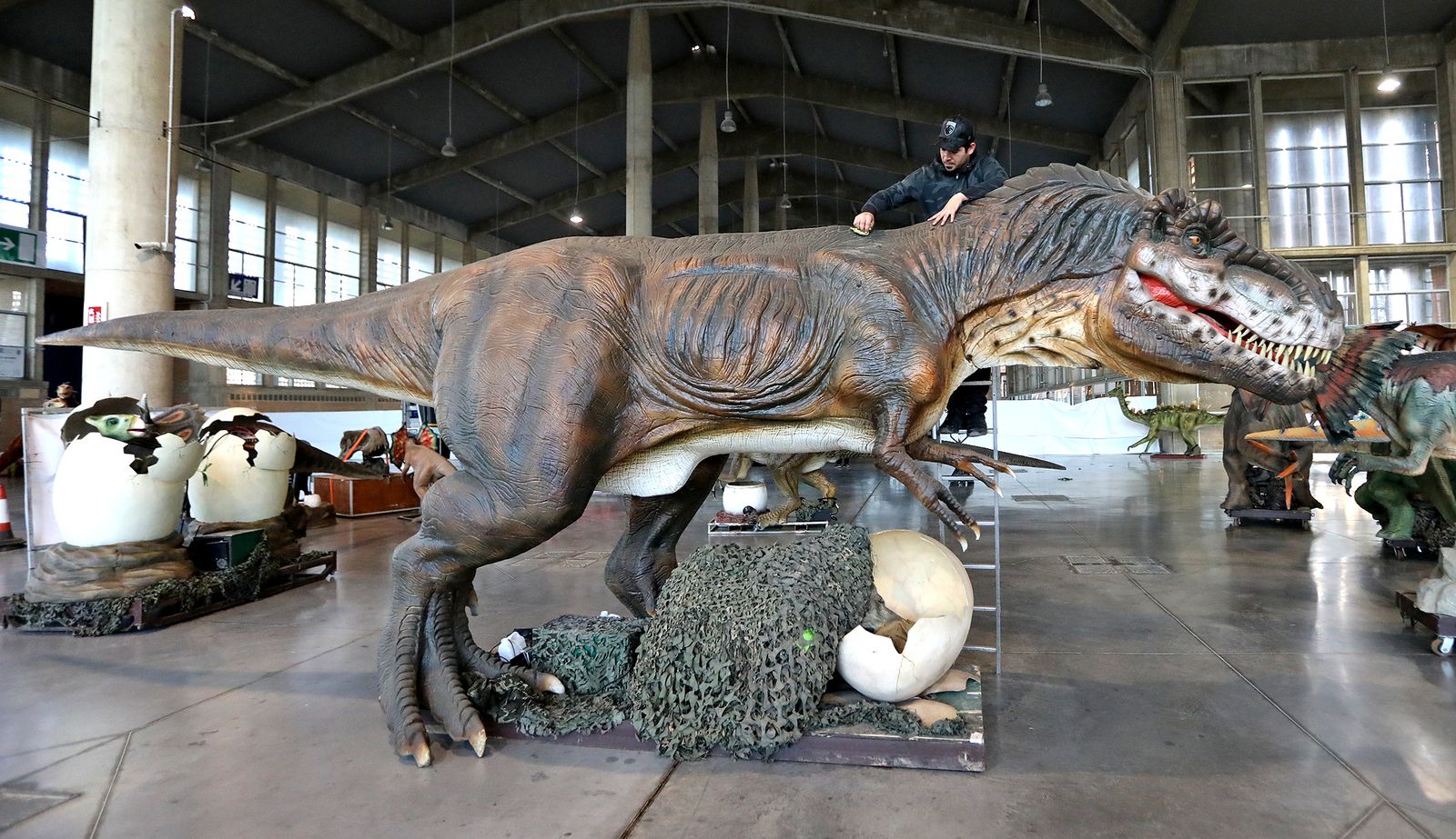 Imágenes del montaje de la mayor exposición de dinosaurios animatrónicos