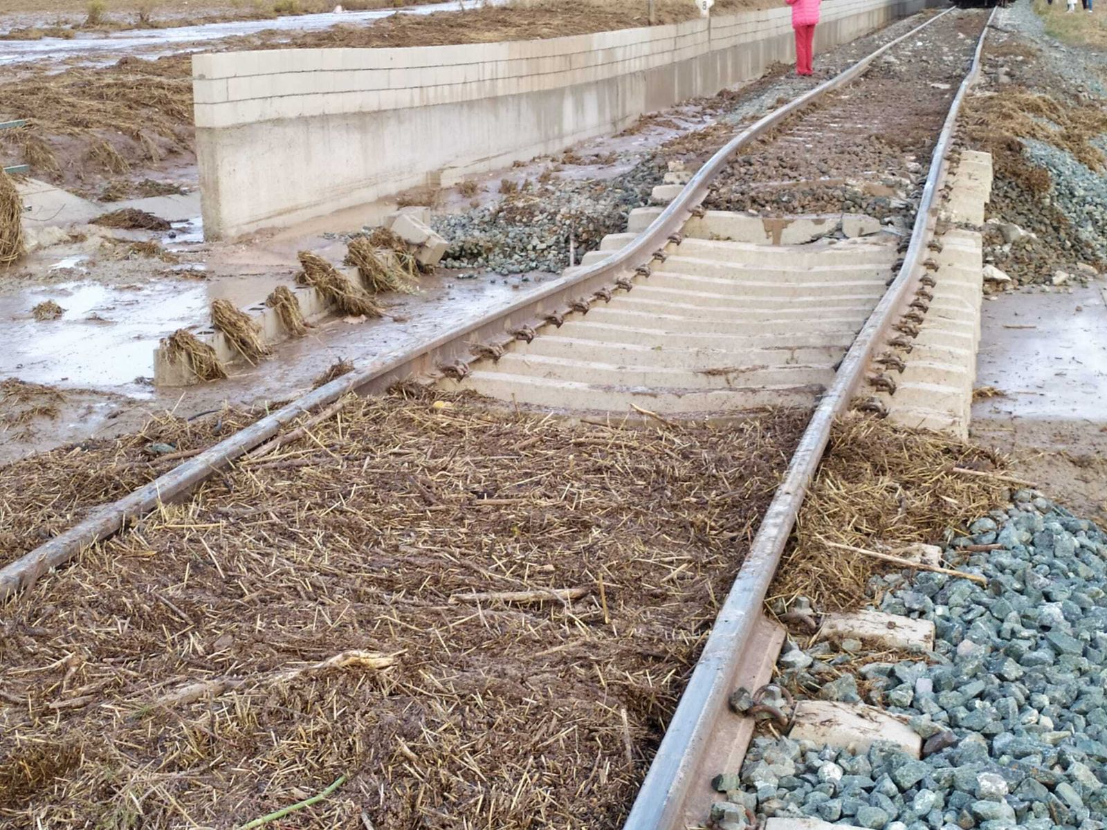 Las fotos del tren descarrilado en Málaga, a su paso por Teba