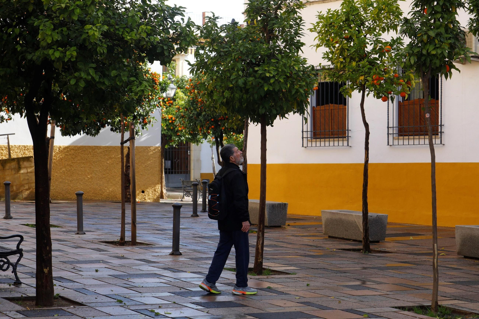 Un paseo en imágenes por el barrio de Santa Marina en pleno invierno