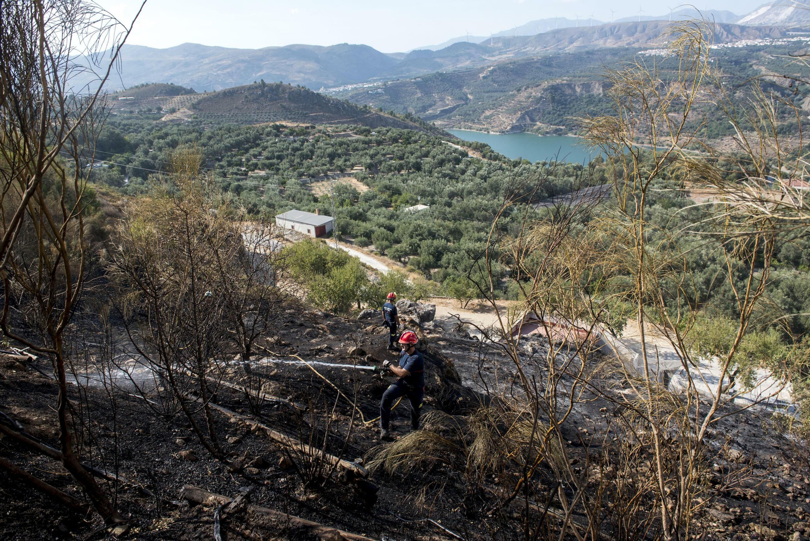 Imágenes del incendio ya estabilizado en Pinos del Valle