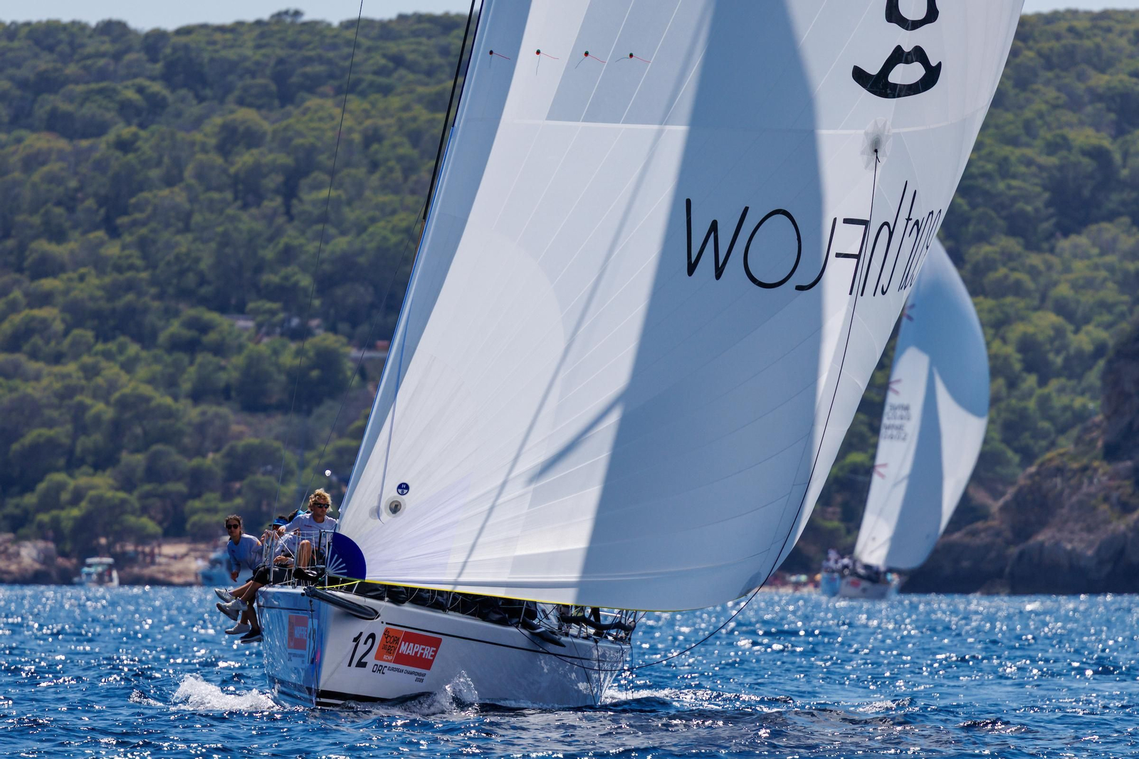 ORCA A Vela Regata (7).jpg