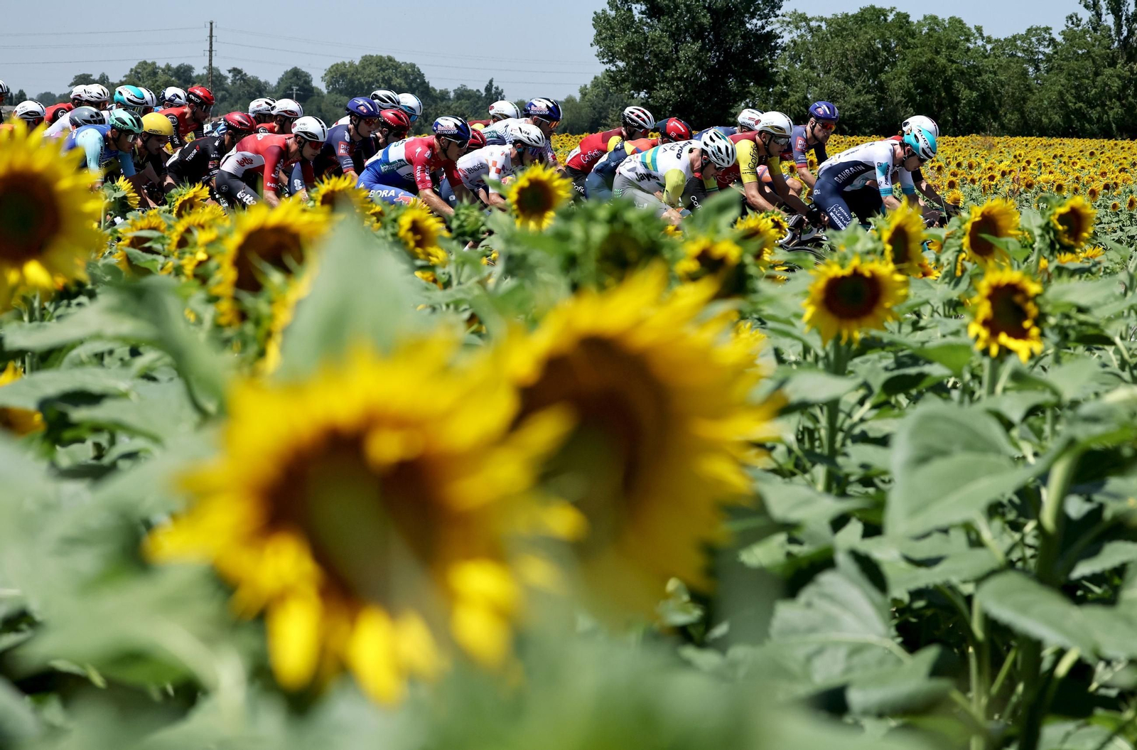 Las mejores fotos del Tour de Francia | Etapa 11