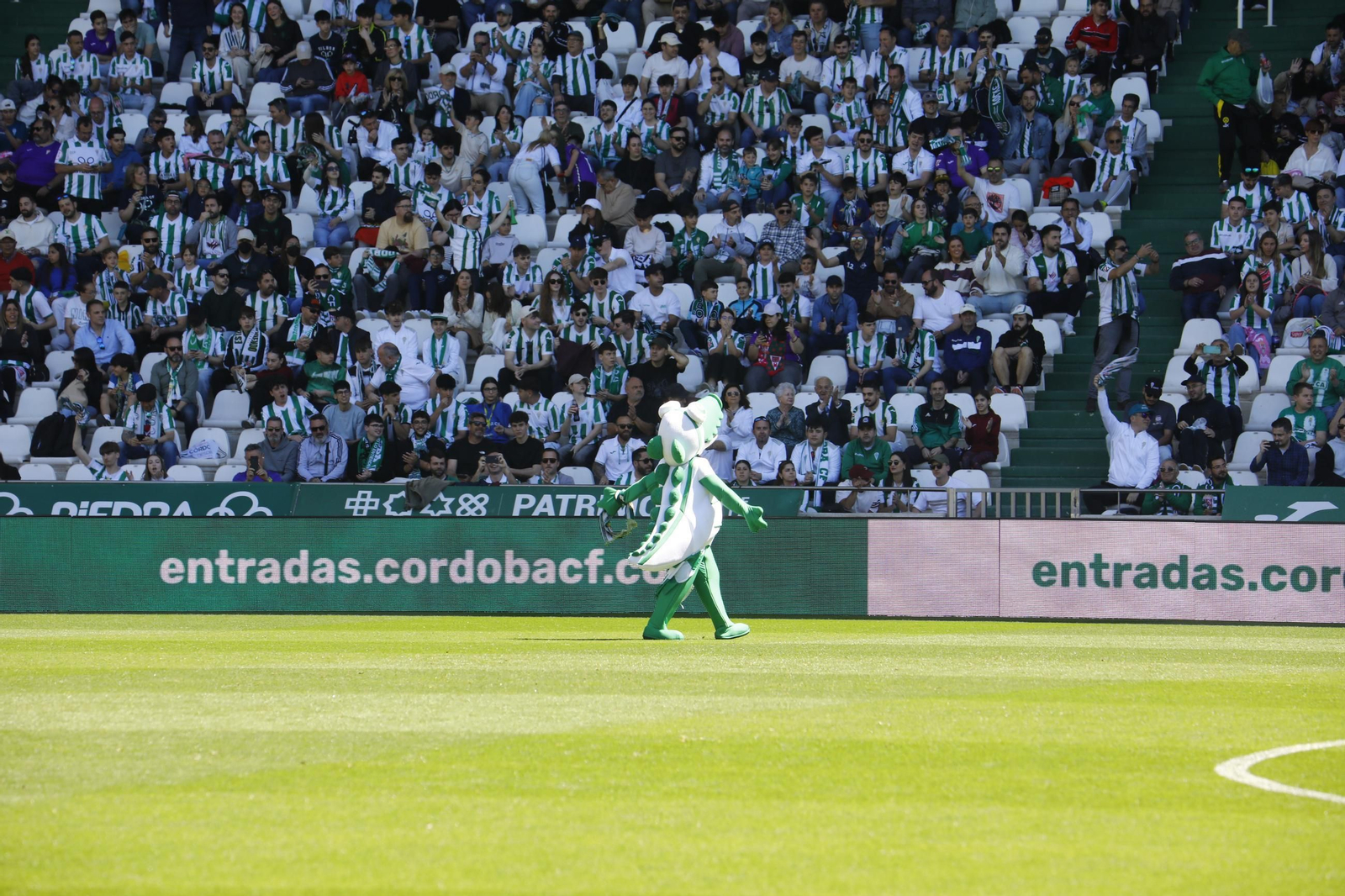 Las fotos del ambiente en El Arcángel para el Córdoba CF - Elche