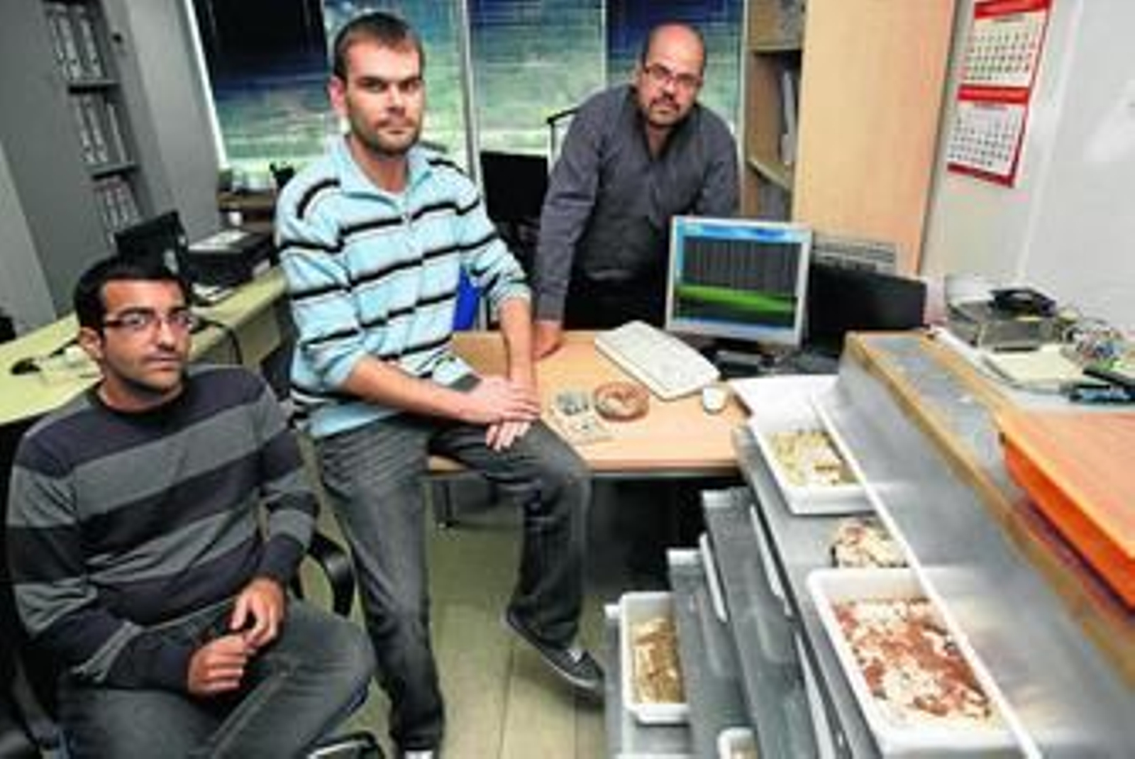 Termitas 'gaseosas' que generan luz