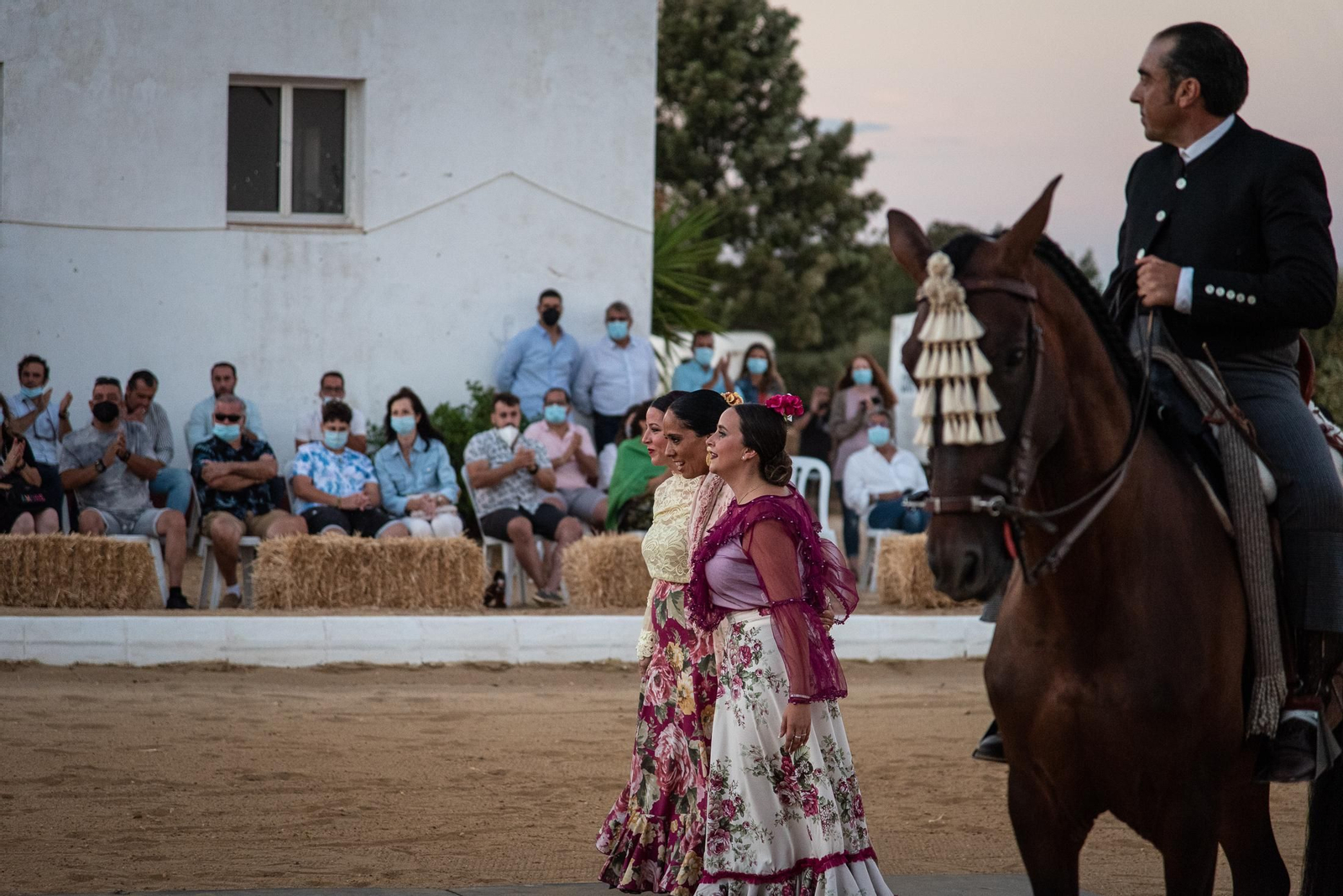El espectáculo Flamencab en imágenes