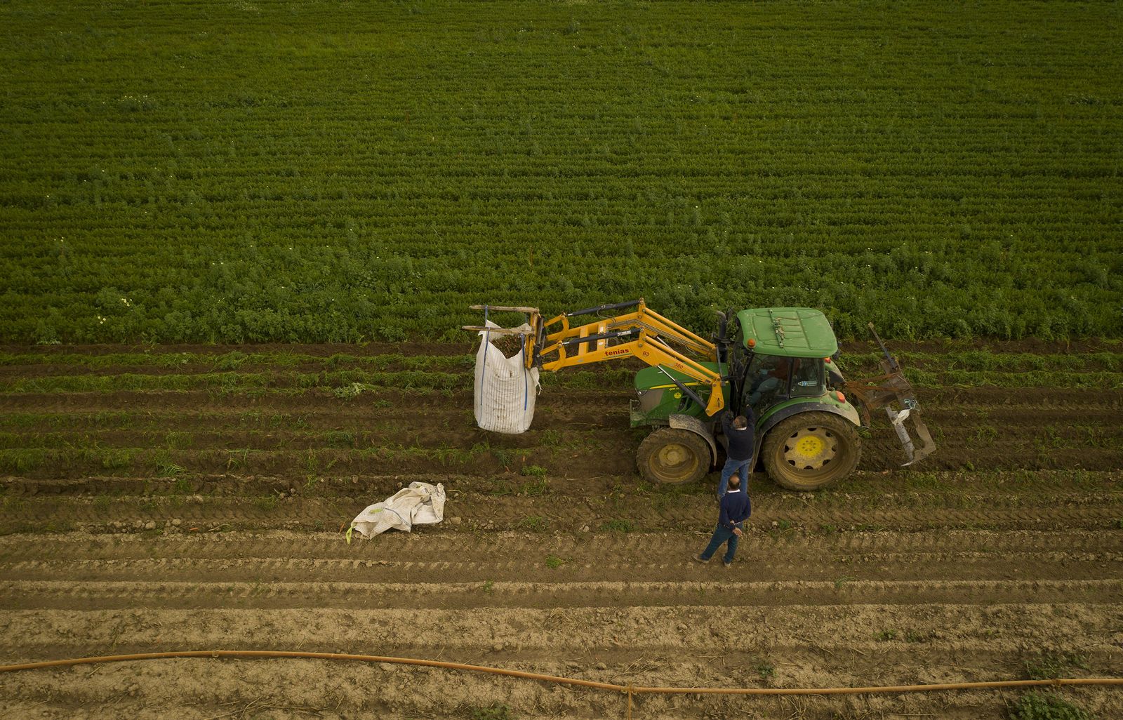 Coronavirus: de la tierra a la mesa