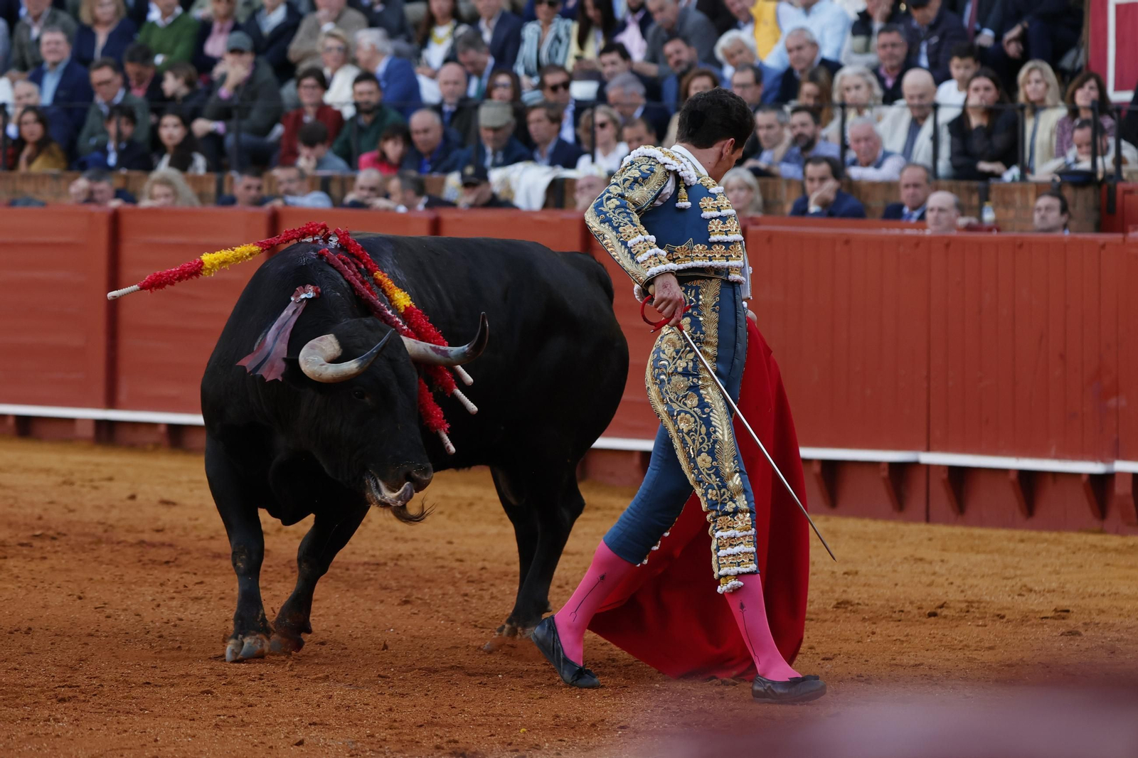 Las Imágenes del festejo