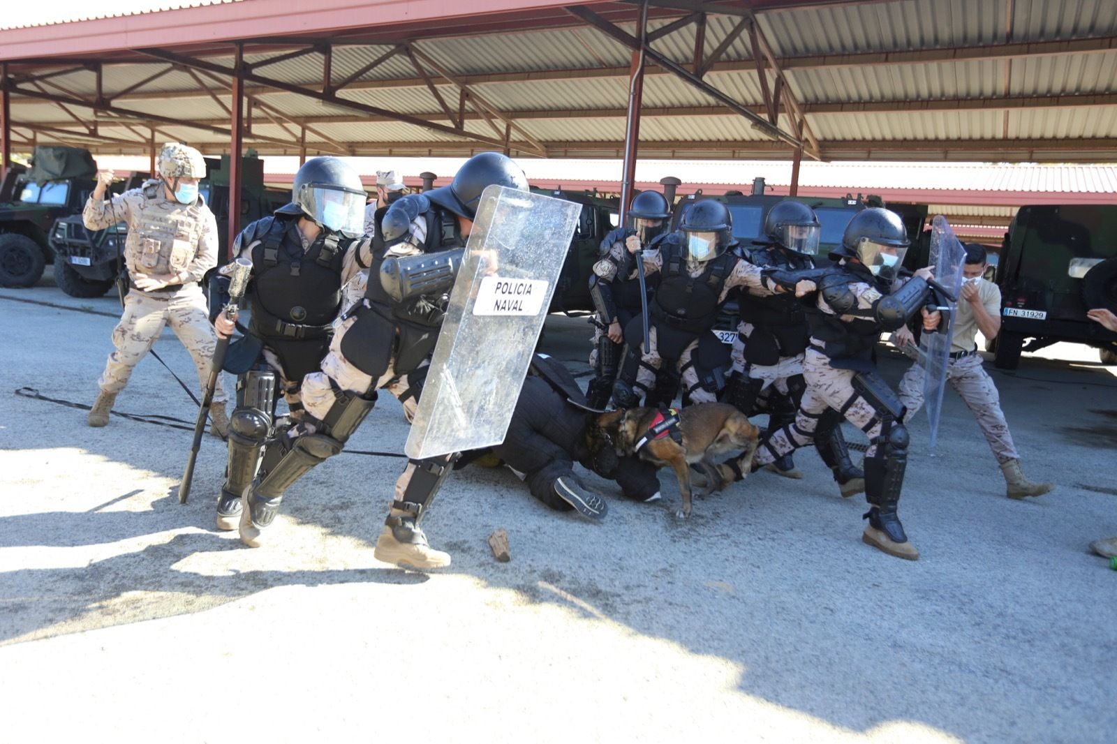 Ejercicio de Adiestramiento 2021 de Unidades Caninas en el TEAR.