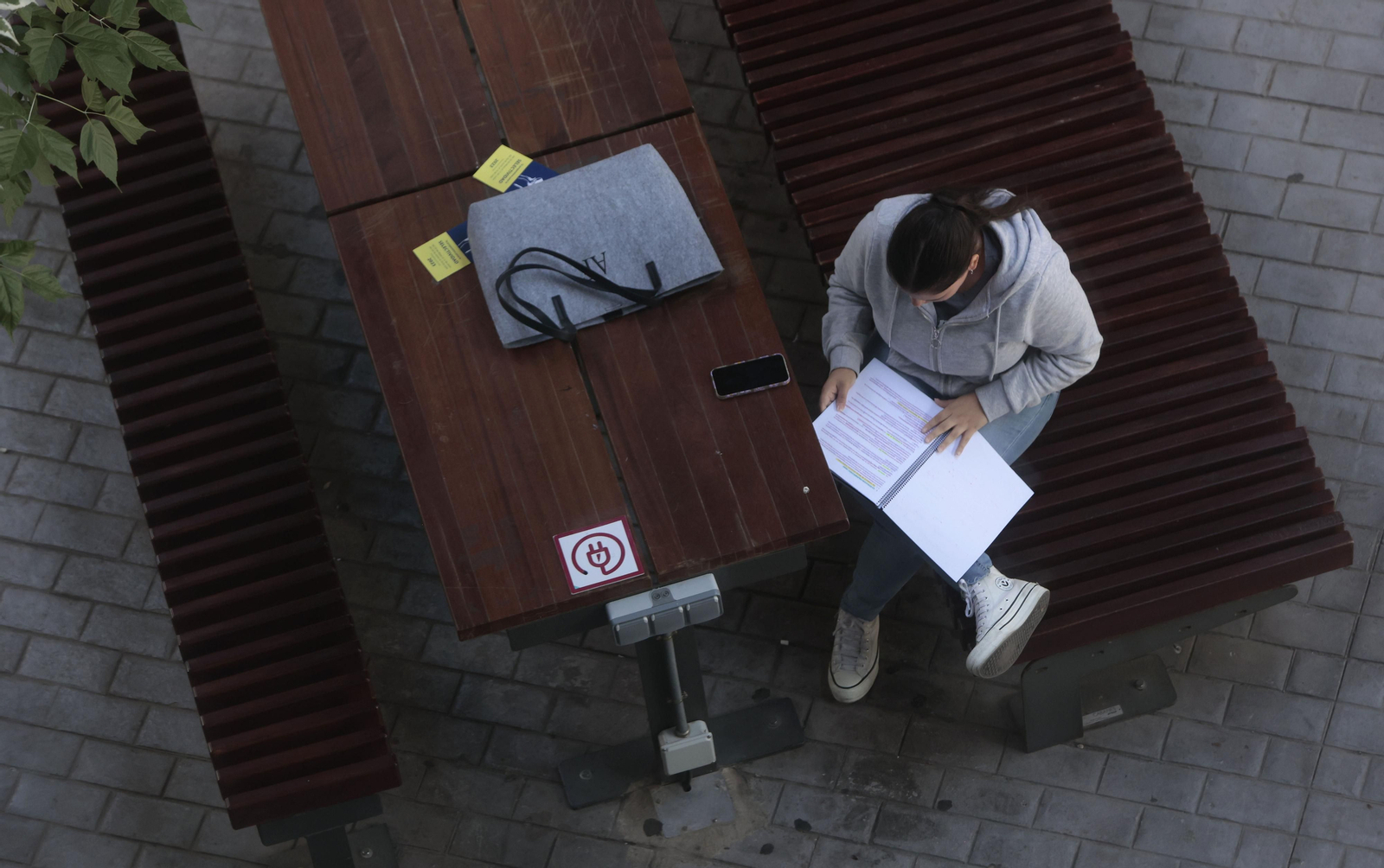 Las imágenes de la Selectividad en la Universidad de Sevilla