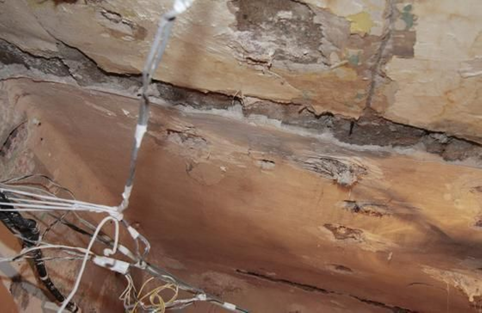 Foto: Victoria Hidalgo