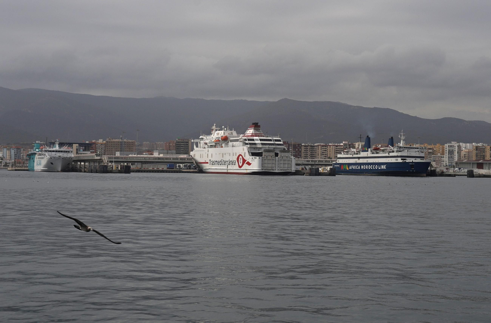 Ferris de Baleària, Armas Trasmediterránea y AML, en el Puerto de Algeciras