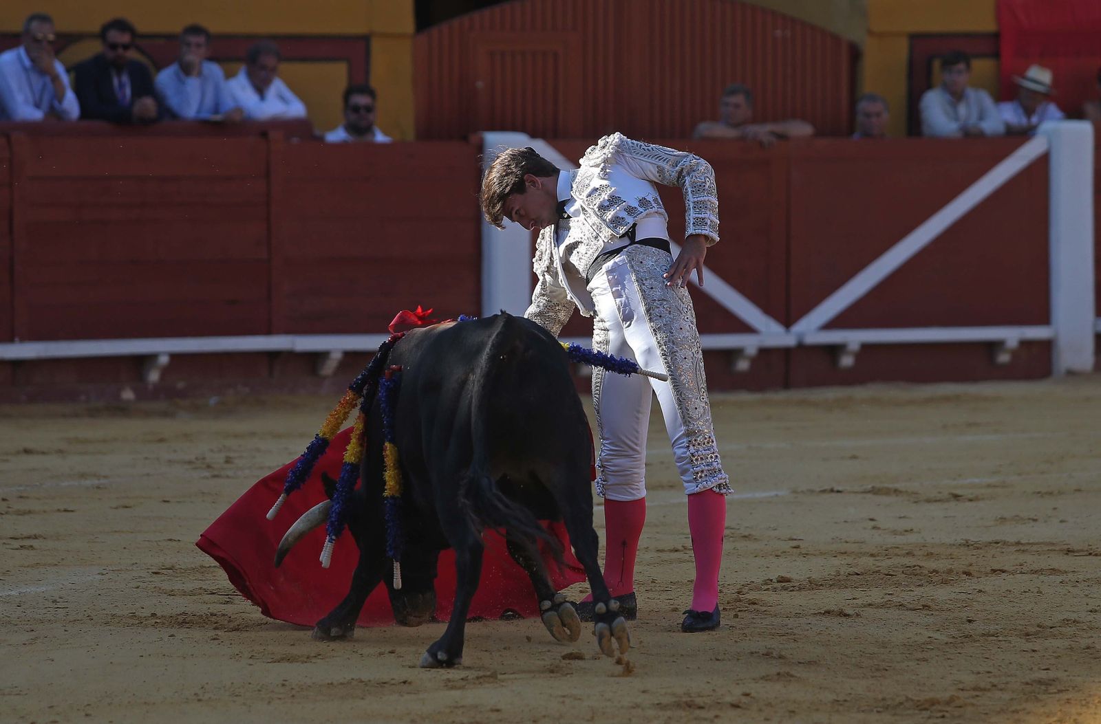 La novillada de Miguelín que abre la feria de Algeciras, en imágenes