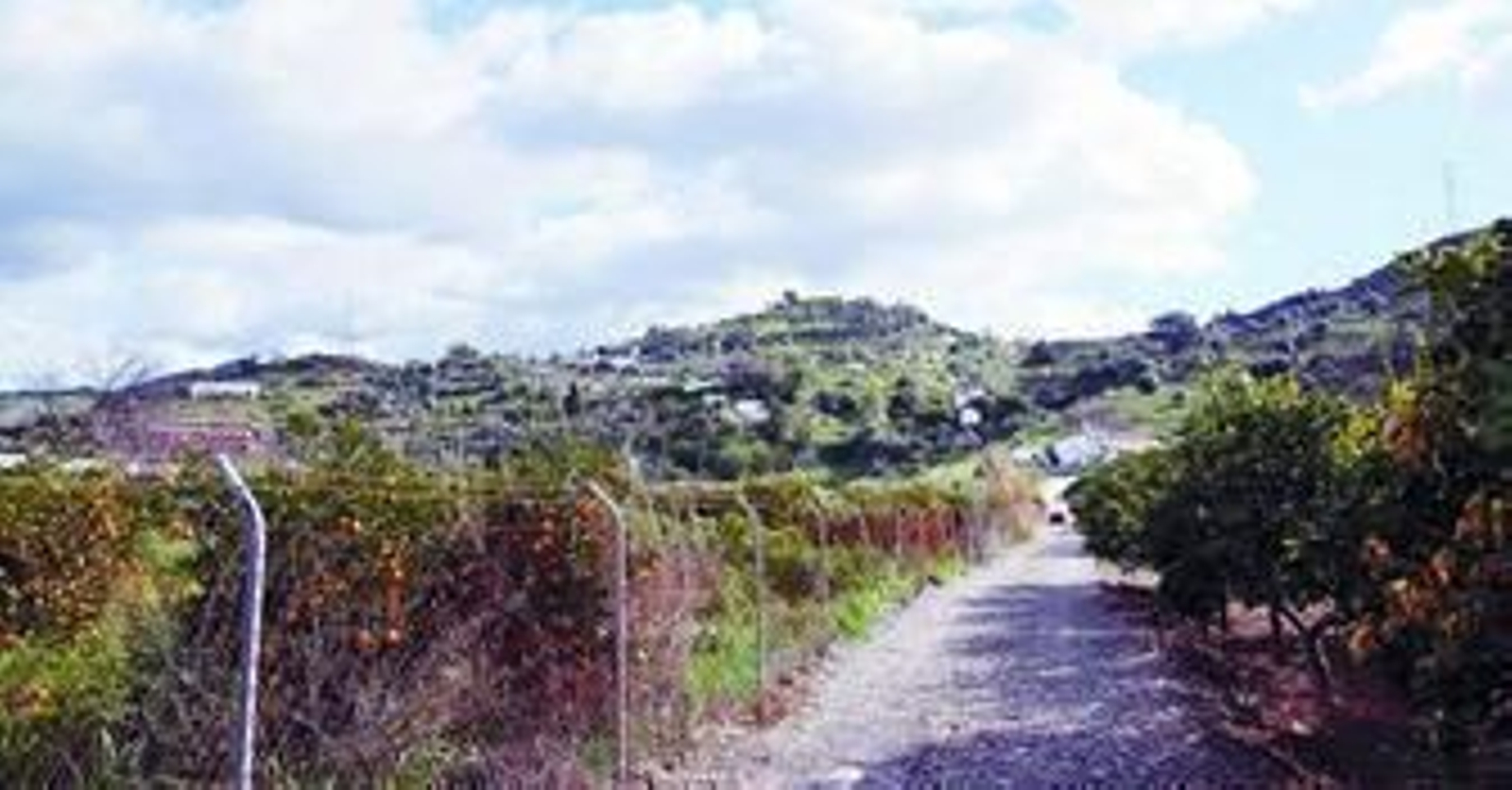Imagen de un camino rural de La Fresneda.