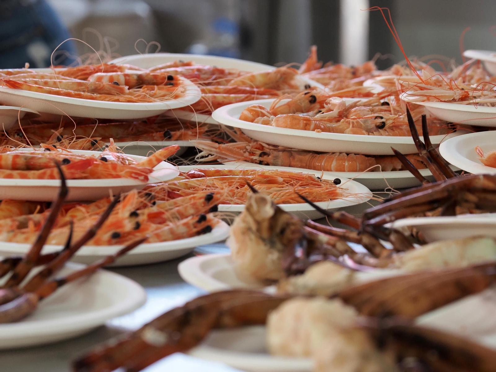 El espectacular ambiente de la Feria de la Gamba de Punta Umbría, en imágenes