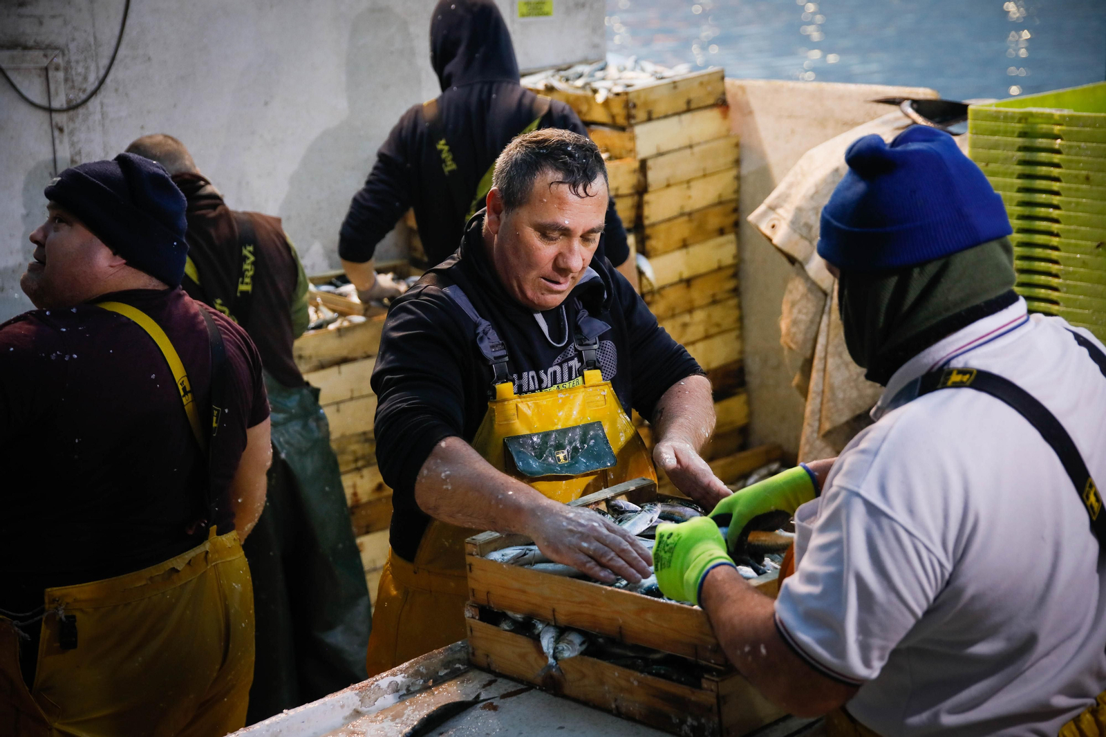 Te contamos en imágenes como ha sido la descarga de las traiñas en la lonja de Almería
