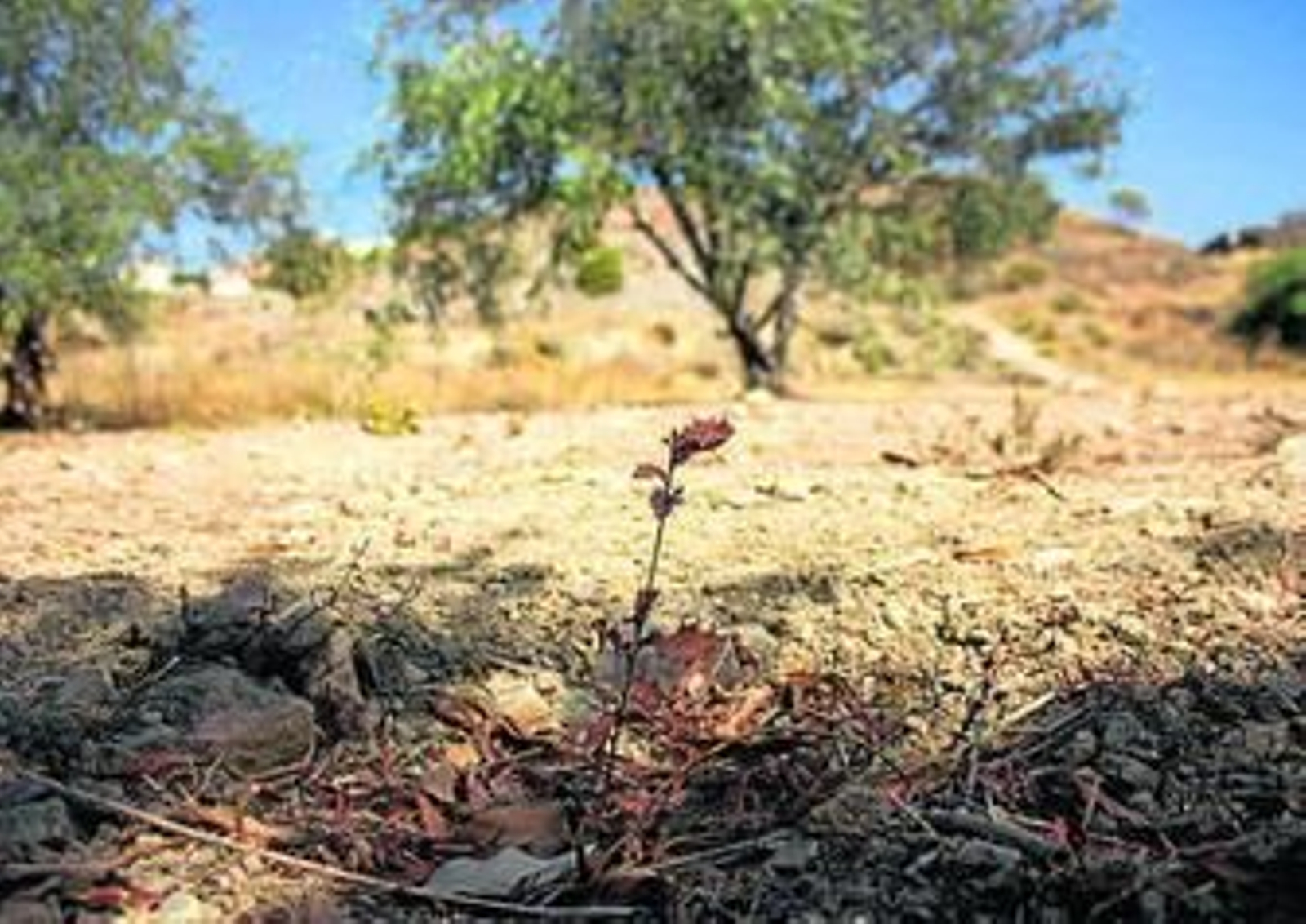 Vista desde la cima del monte de La Pelusa
