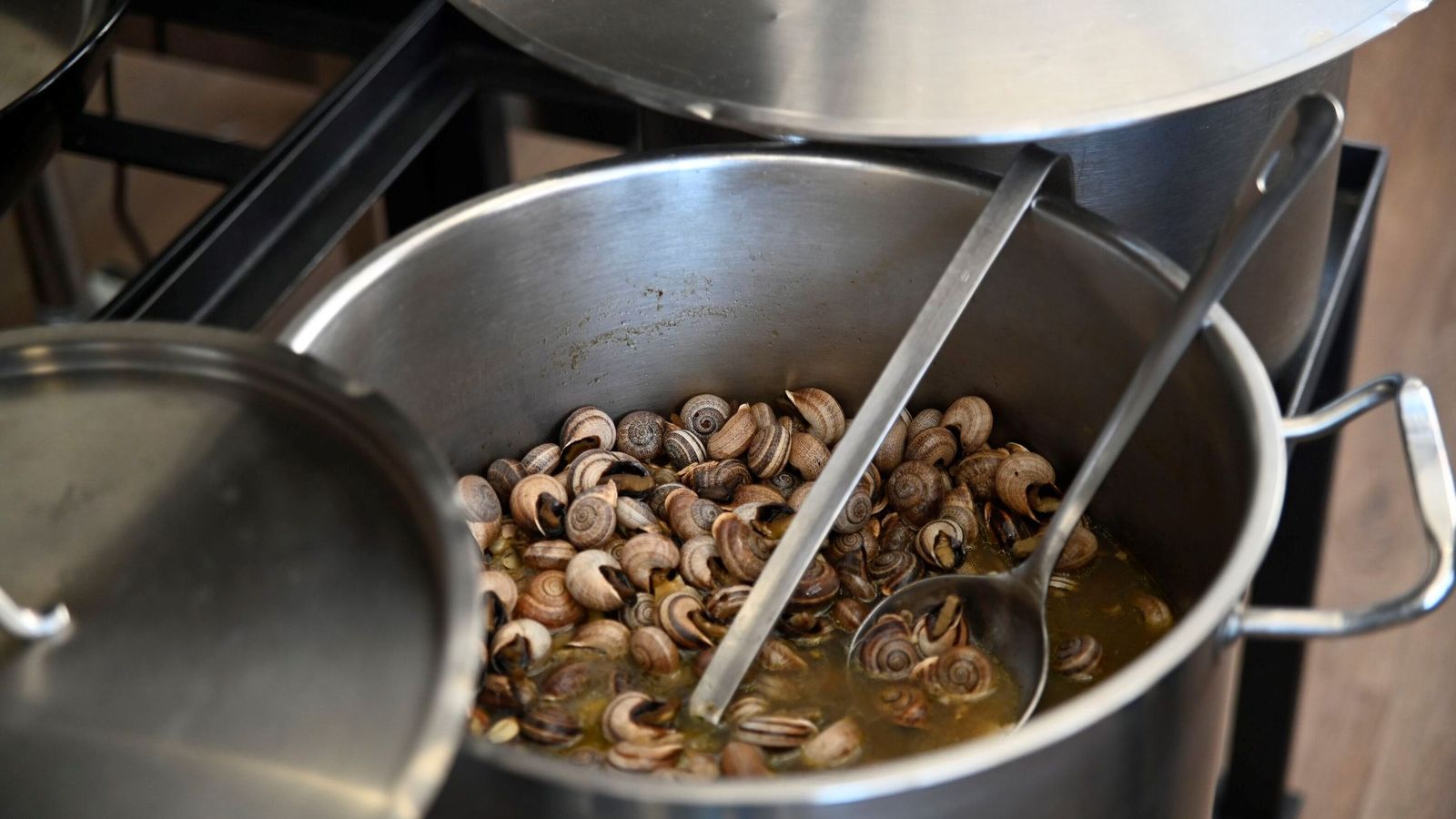 El arranque de la temporada de caracoles en Córdoba, en imágenes