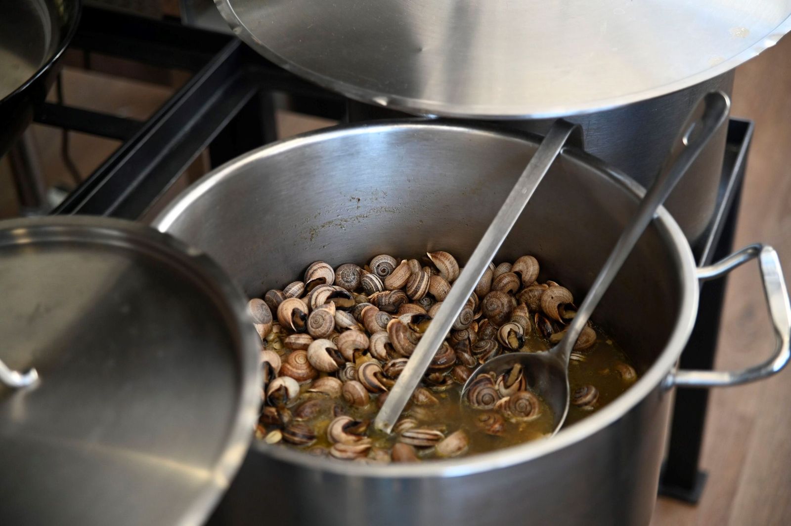 El arranque de la temporada de caracoles en Córdoba, en imágenes