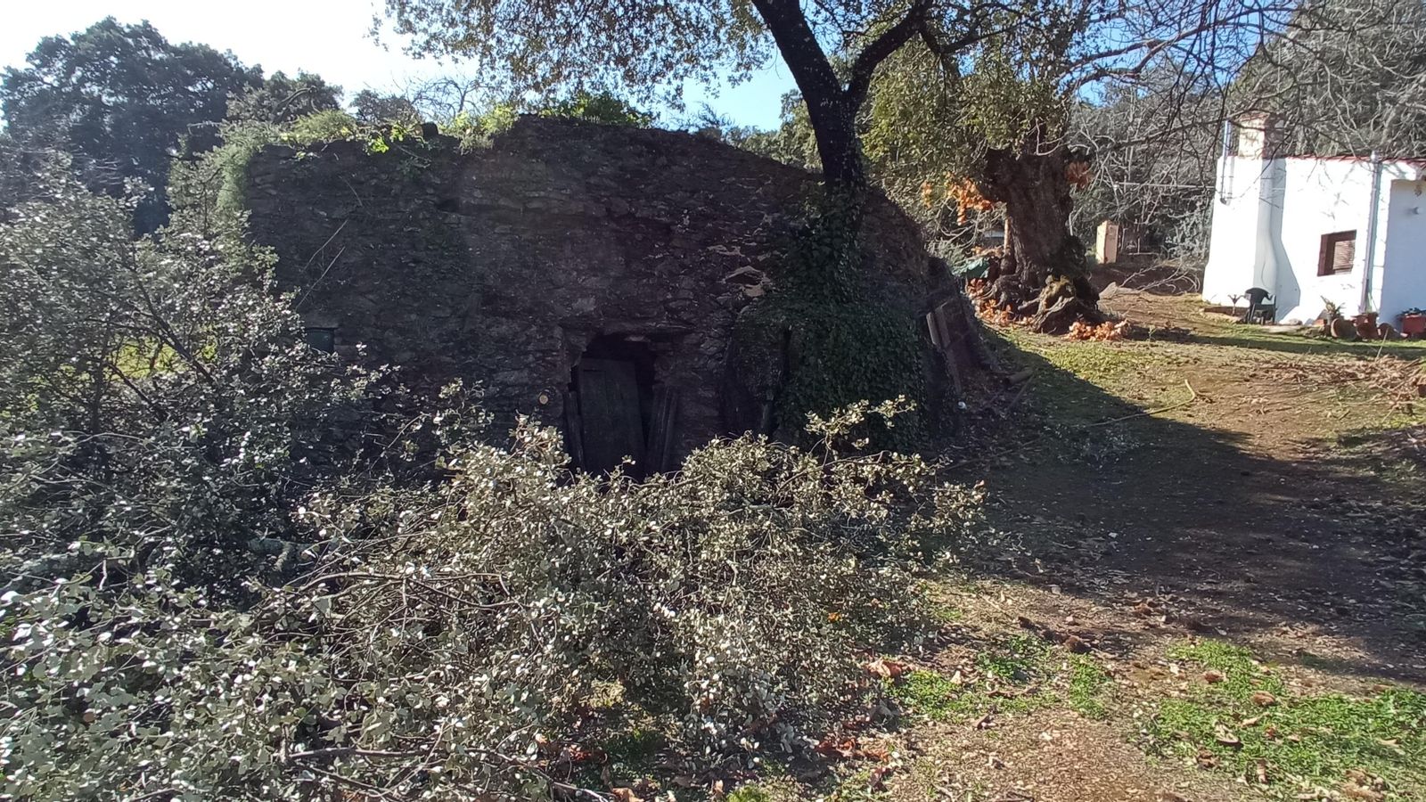 El primero de los hornos de cal que se nos queda a la derecha del camino.