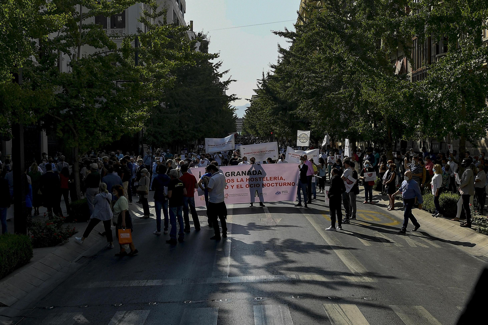 Fotos: El turismo se manifiesta en Granada