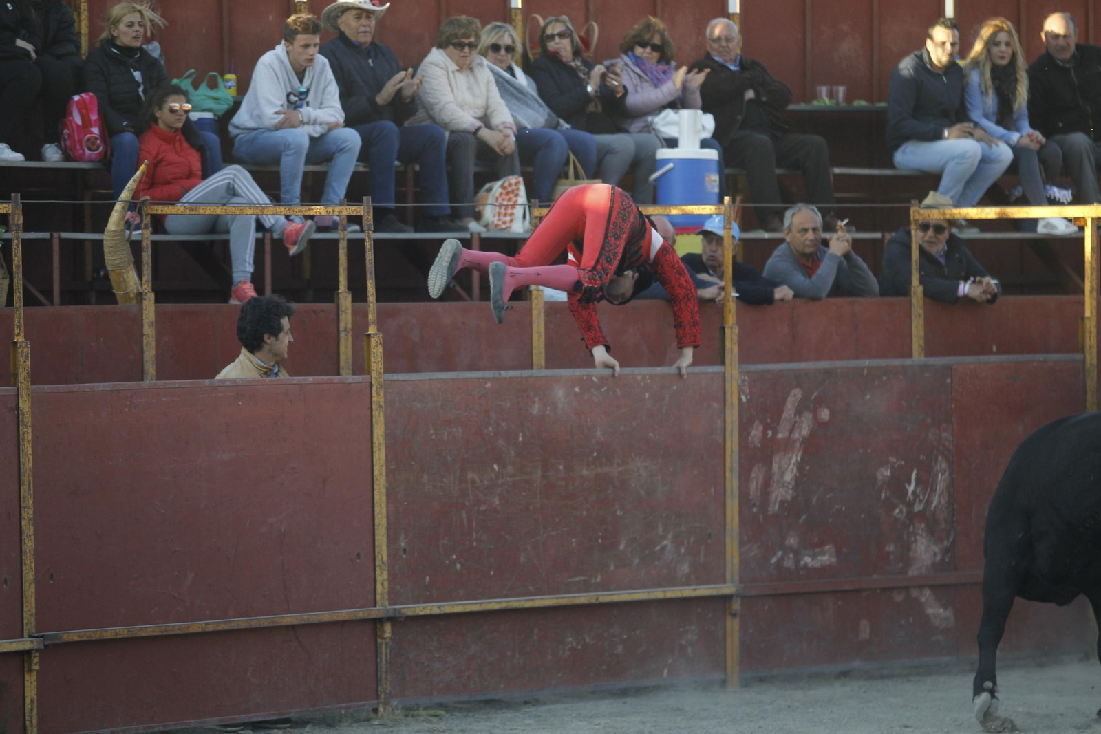 Fotogalería Novillada Fiestas de Abrucena