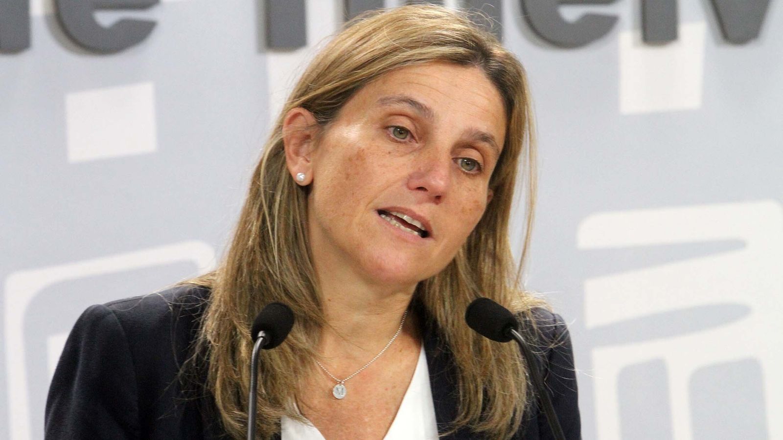 María  Villadeamigo  habla sobre las multas de la zona ORA en 2018.