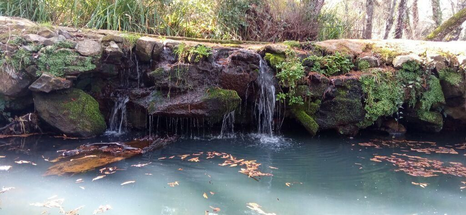 La cascada de Jollarancos y el bosque de las letras