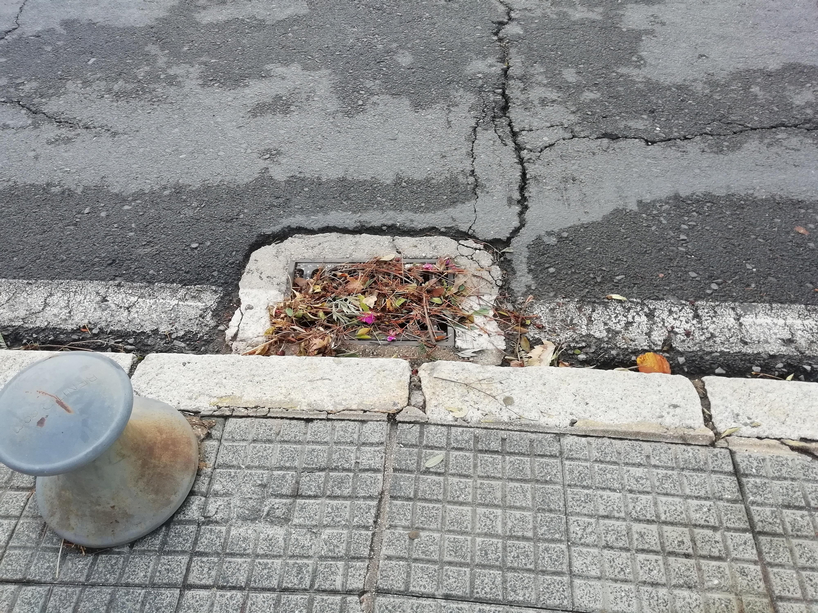 Sumidero cubierto por hojas de árboles.