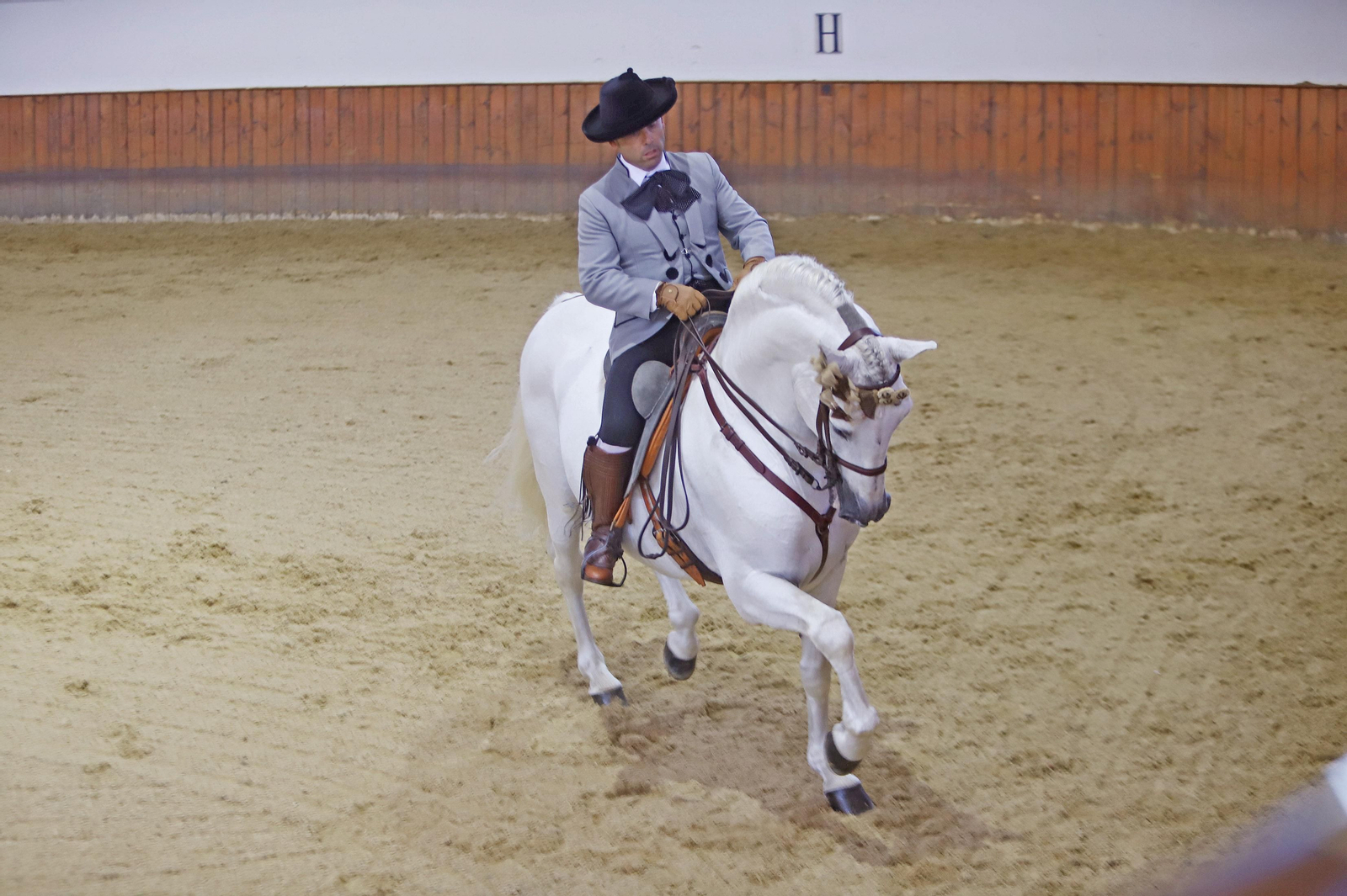 XVII Campeonato de Andalucía de Doma de Alta Escuela