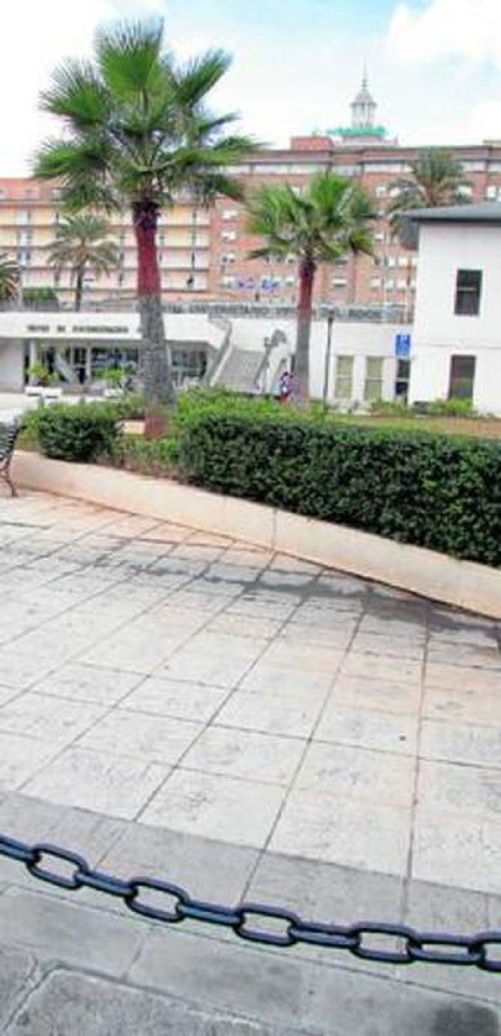 El Gobierno apoya al Virgen del Rocío como referente en trasplantes faciales