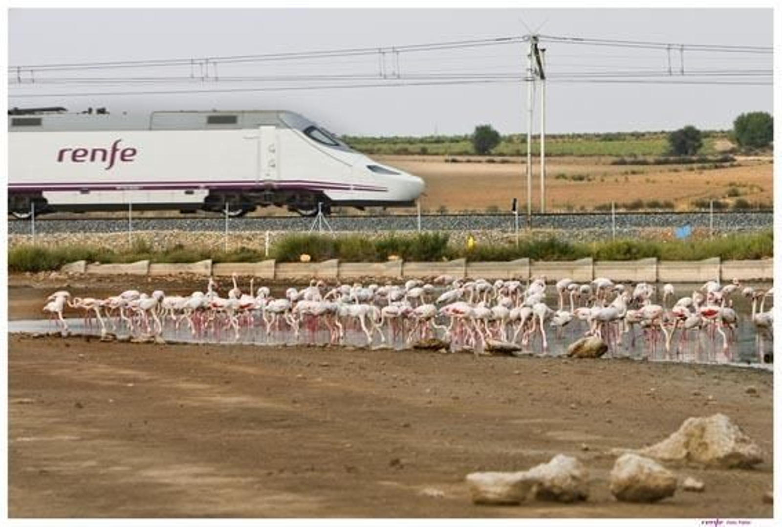 Una imagen del tren Alvia de Renfe.