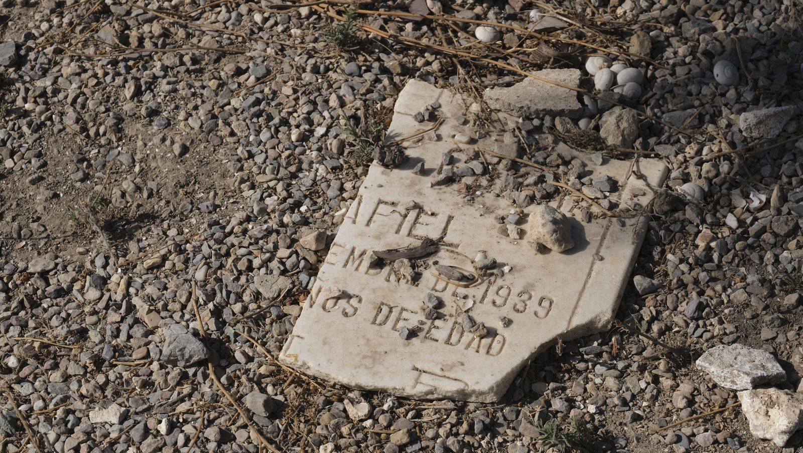 Imágenes del Día de Todos los Santos en el Cementerio de San José de Almería
