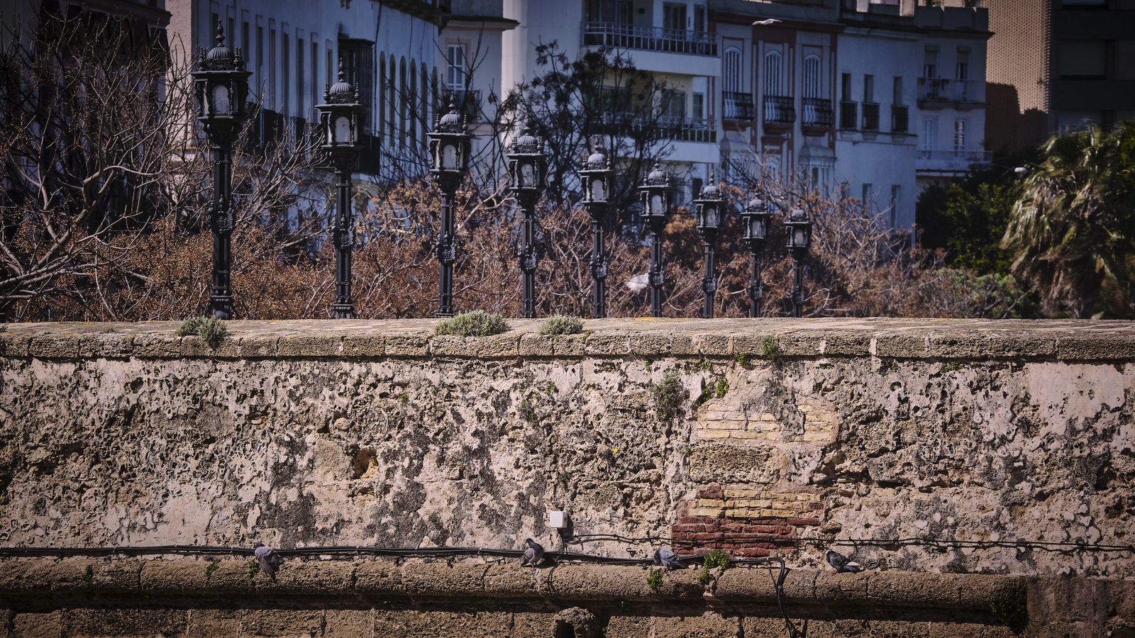 Murallas de San Carlos