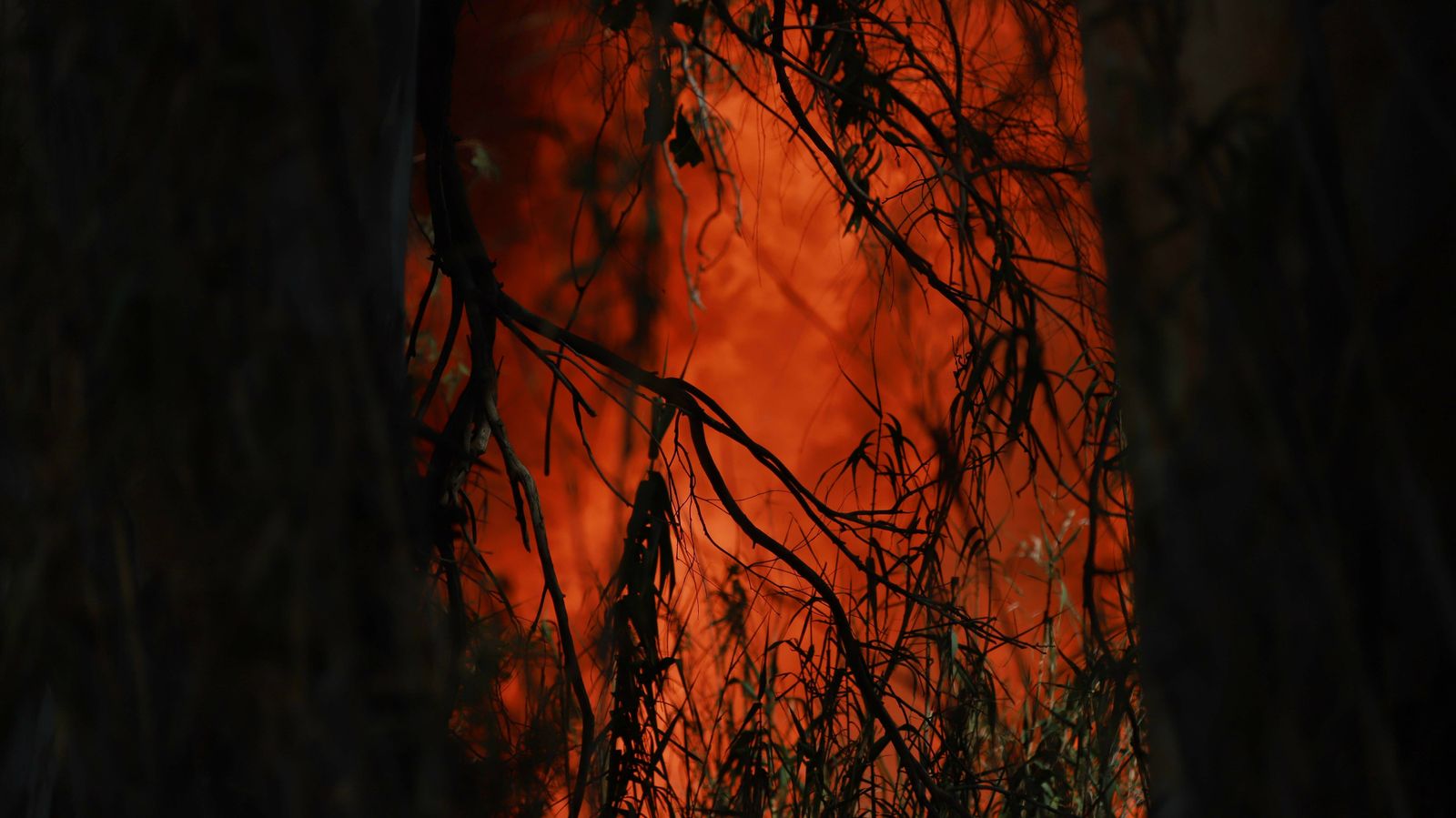 Incendio en el Camino de La Rana en La Línea