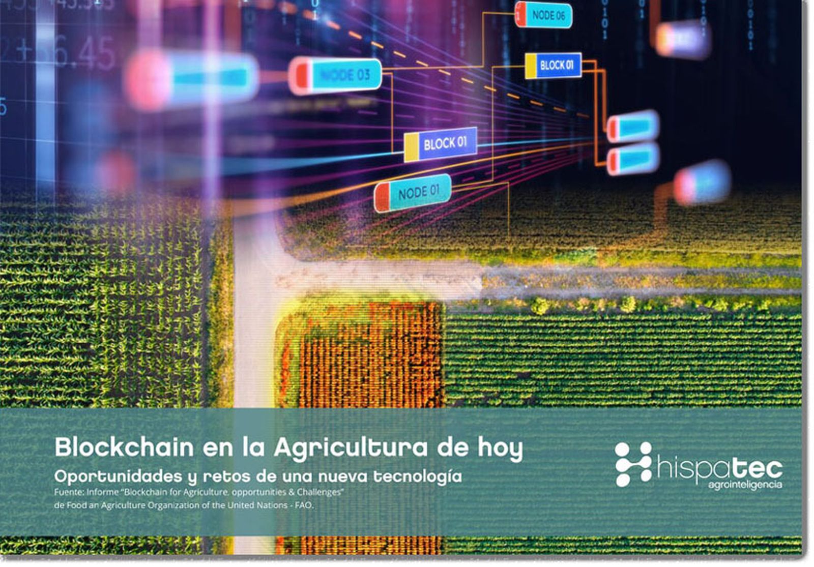 Imagen del informe realizado por Hispatec.