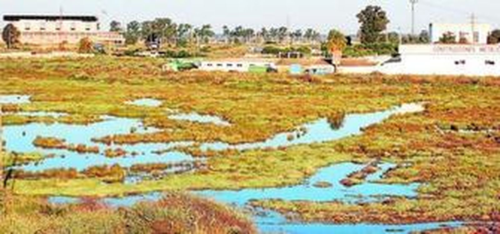 Las Marismas del Titán muestran esta espléndida imagen tras las últimas grandes lluvias.