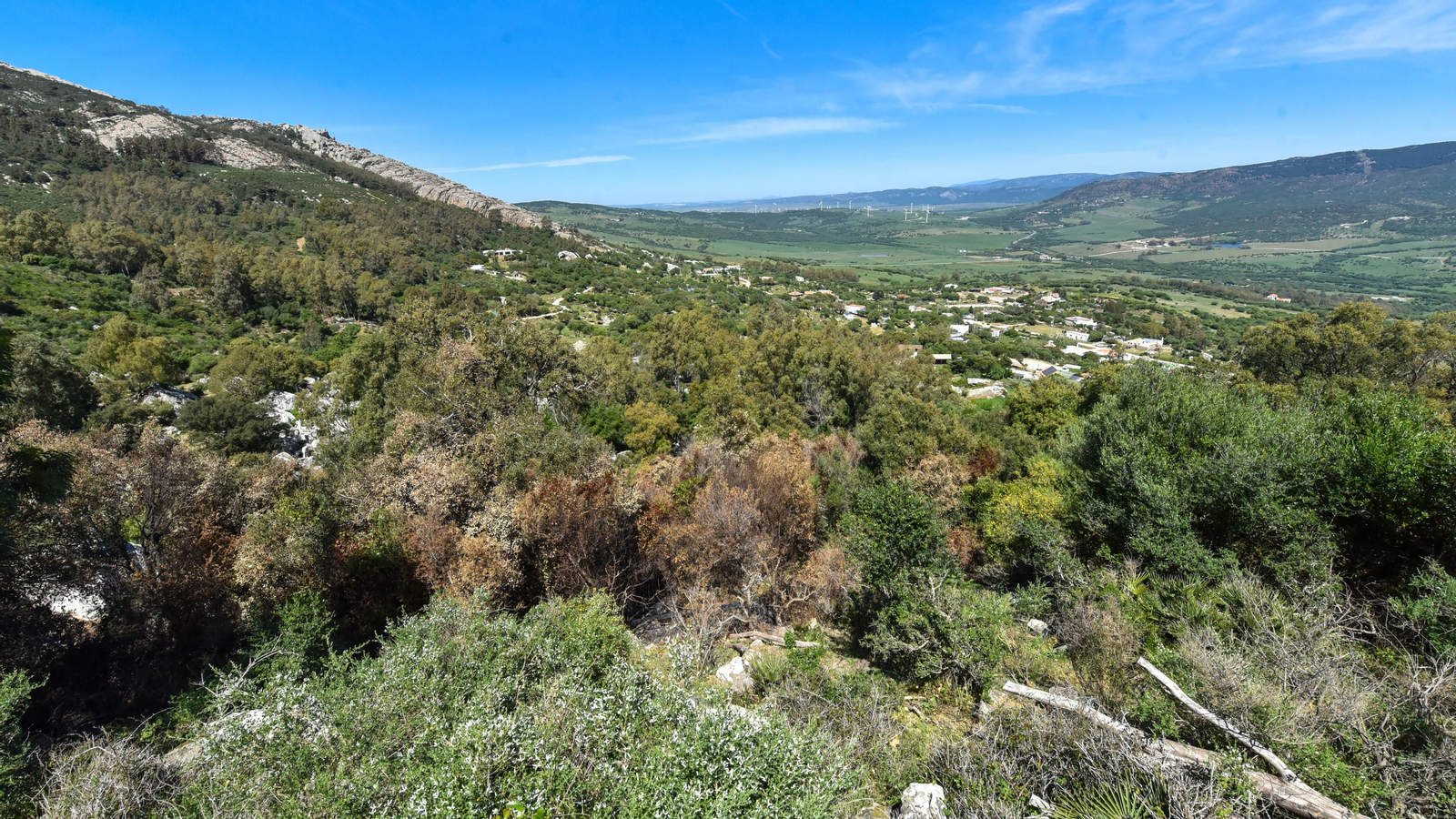 Fotos de la zona de Betijuelos incendiada