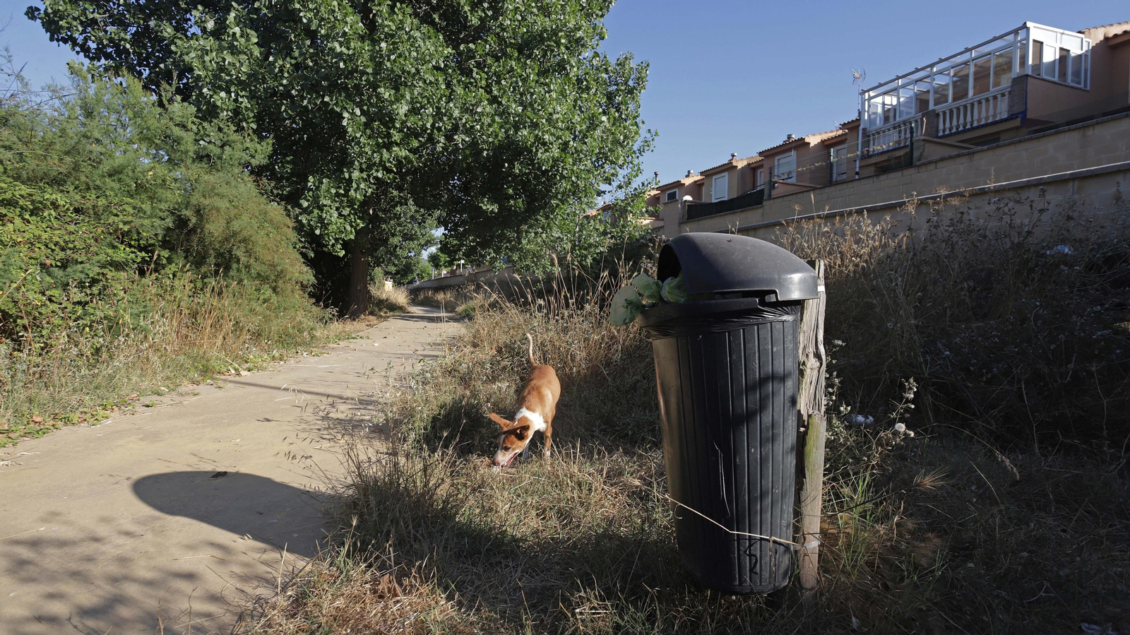 Fotos de los desperfectos del parque del río Pícaro en Algeciras