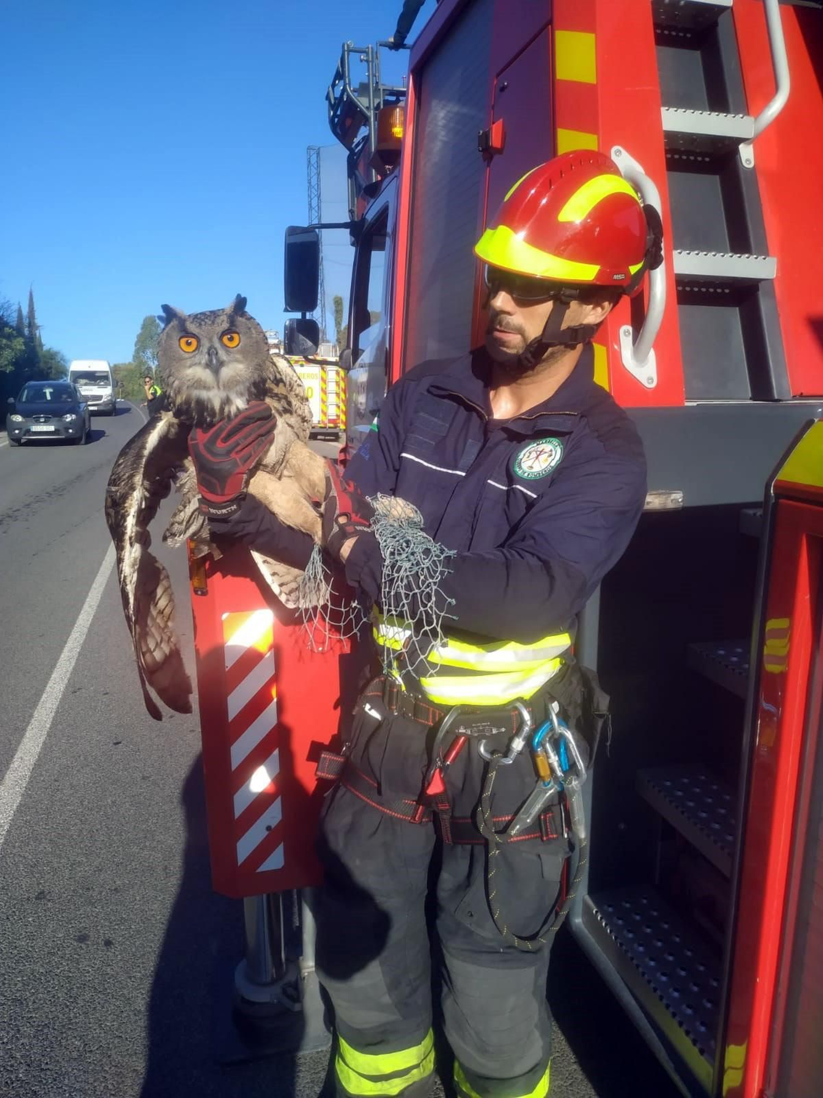 El búho real rescatado por los Bomberos de Marbella. El búho real rescatado por los Bomberos de Marbella.