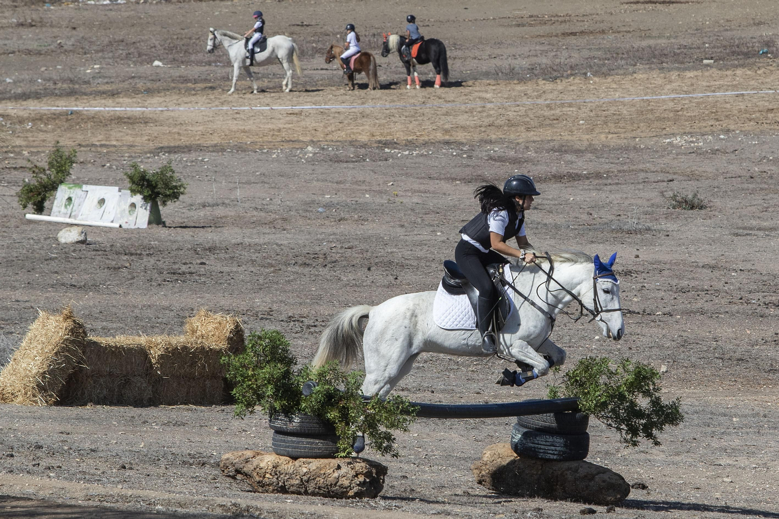 Las imágenes de la Romería del Cerro