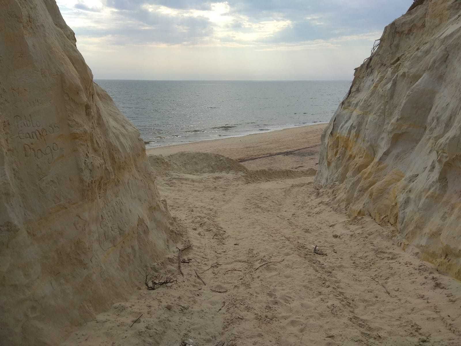 Camino abierto en las dunas del paraje del Asperillo.