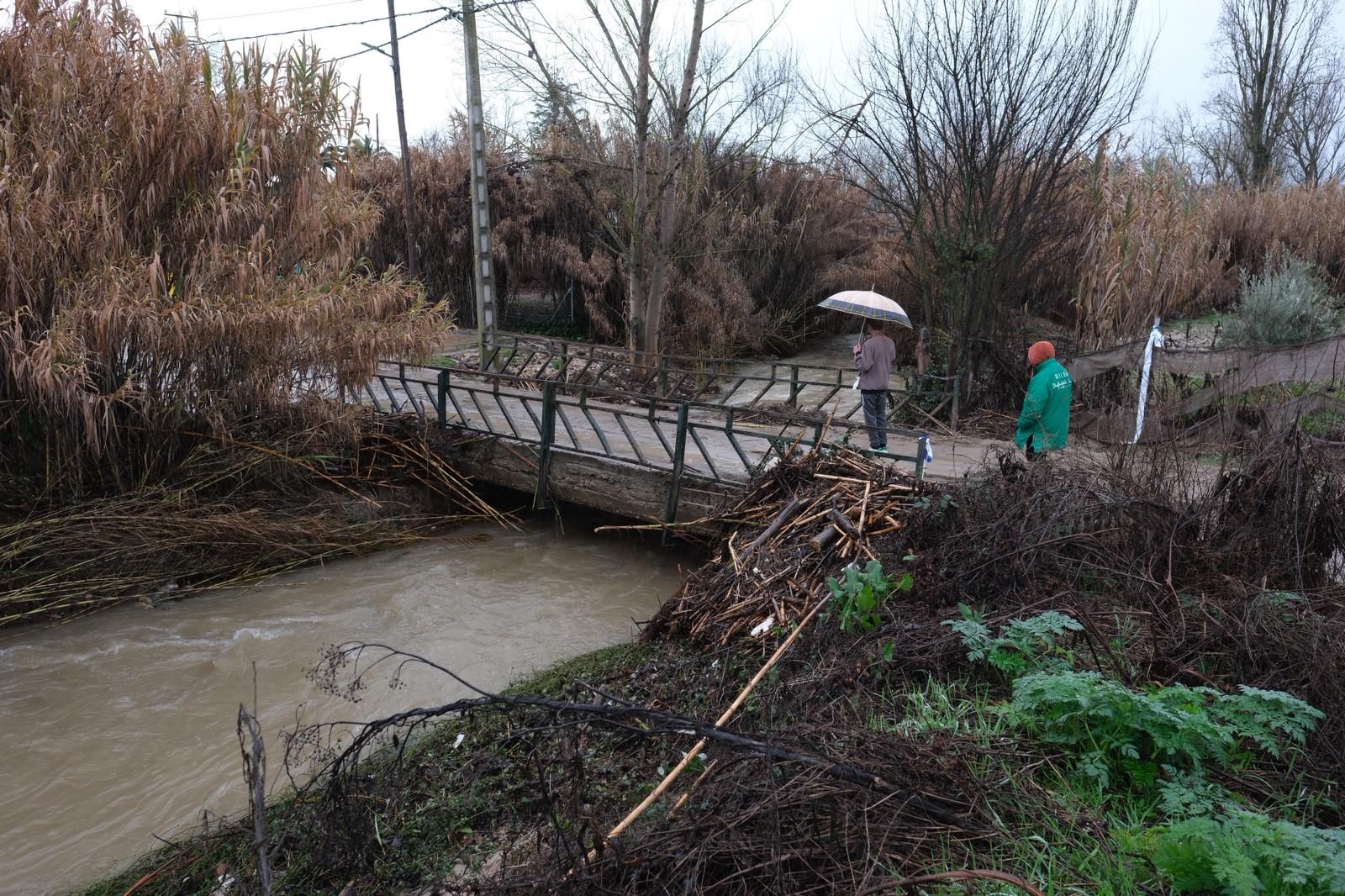 El puente de Pelistre es una de las zonas en las que se pedirá actuar.