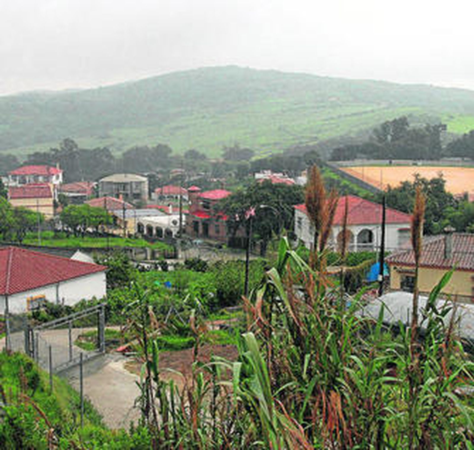 Imagen de archivo de la barriada de Pelayo, vista general.
