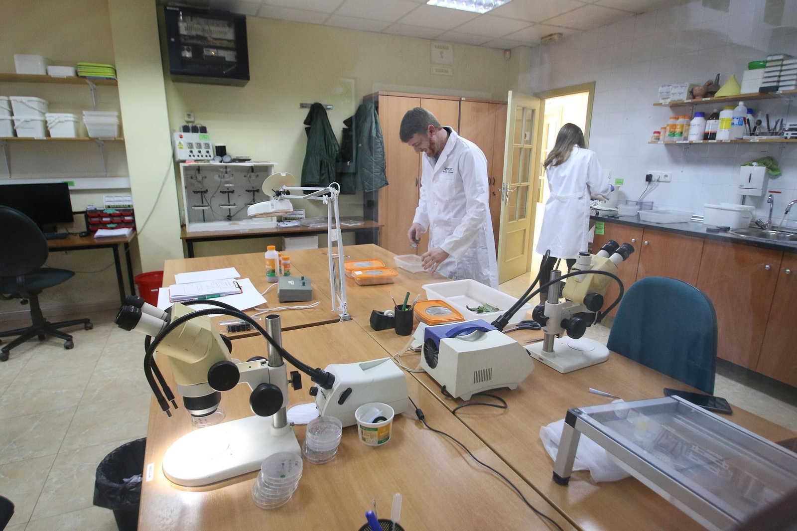 Fotogalería de la visita guiada a las instalaciones de Koppert en Águilas