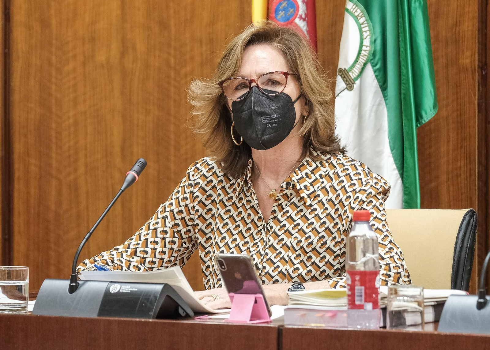 La presidenta de la Cámara de Cuentas, Carmen Núñez, durante la comisión de hacienda celebrada este miércoles.