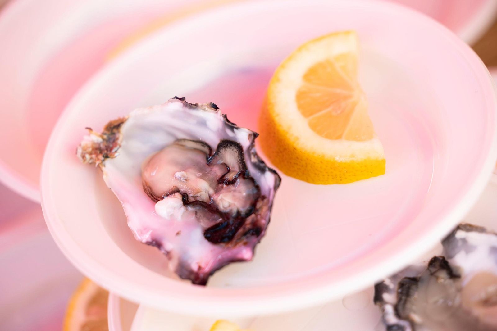 Imágenes de la Ostionada este domingo en San Antonio