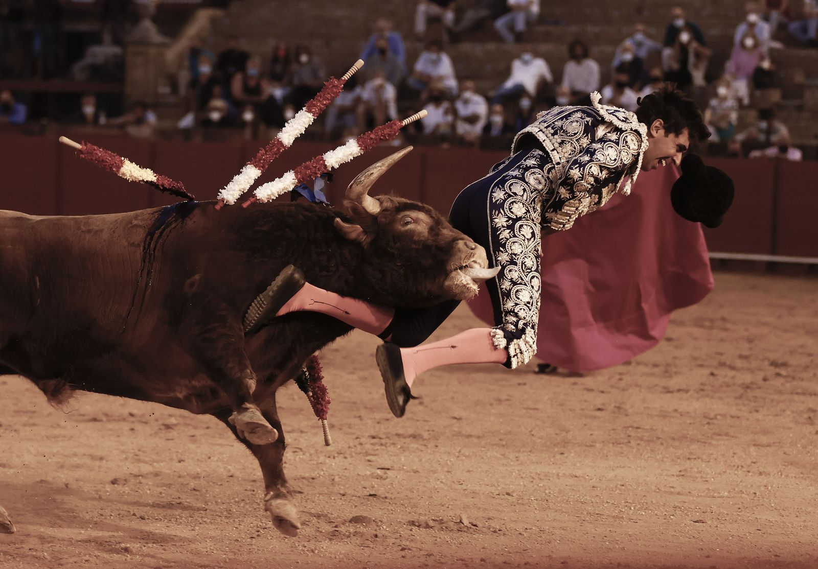 Fotos de la segunda novillada de la feria de San Miguel de Sevilla