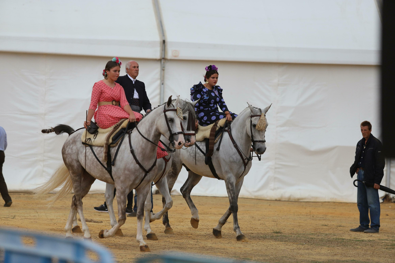 Los caballos pasean por el recinto.