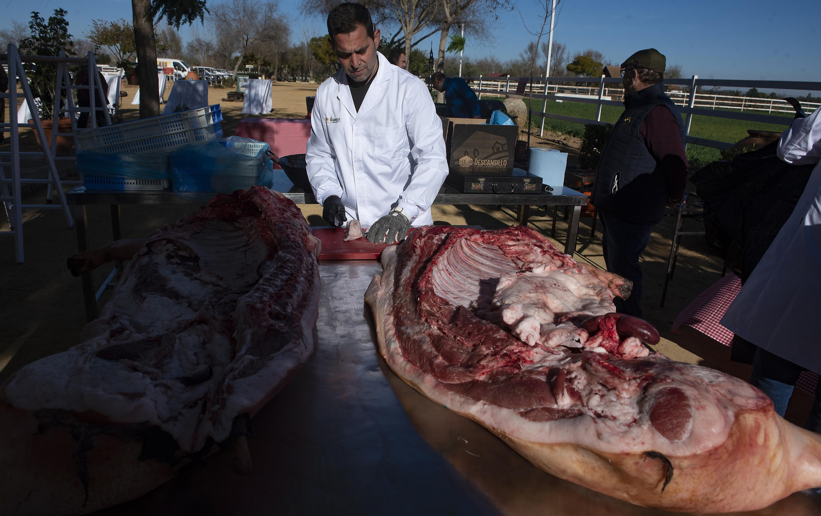 Un día de matanza en una finca sevillana