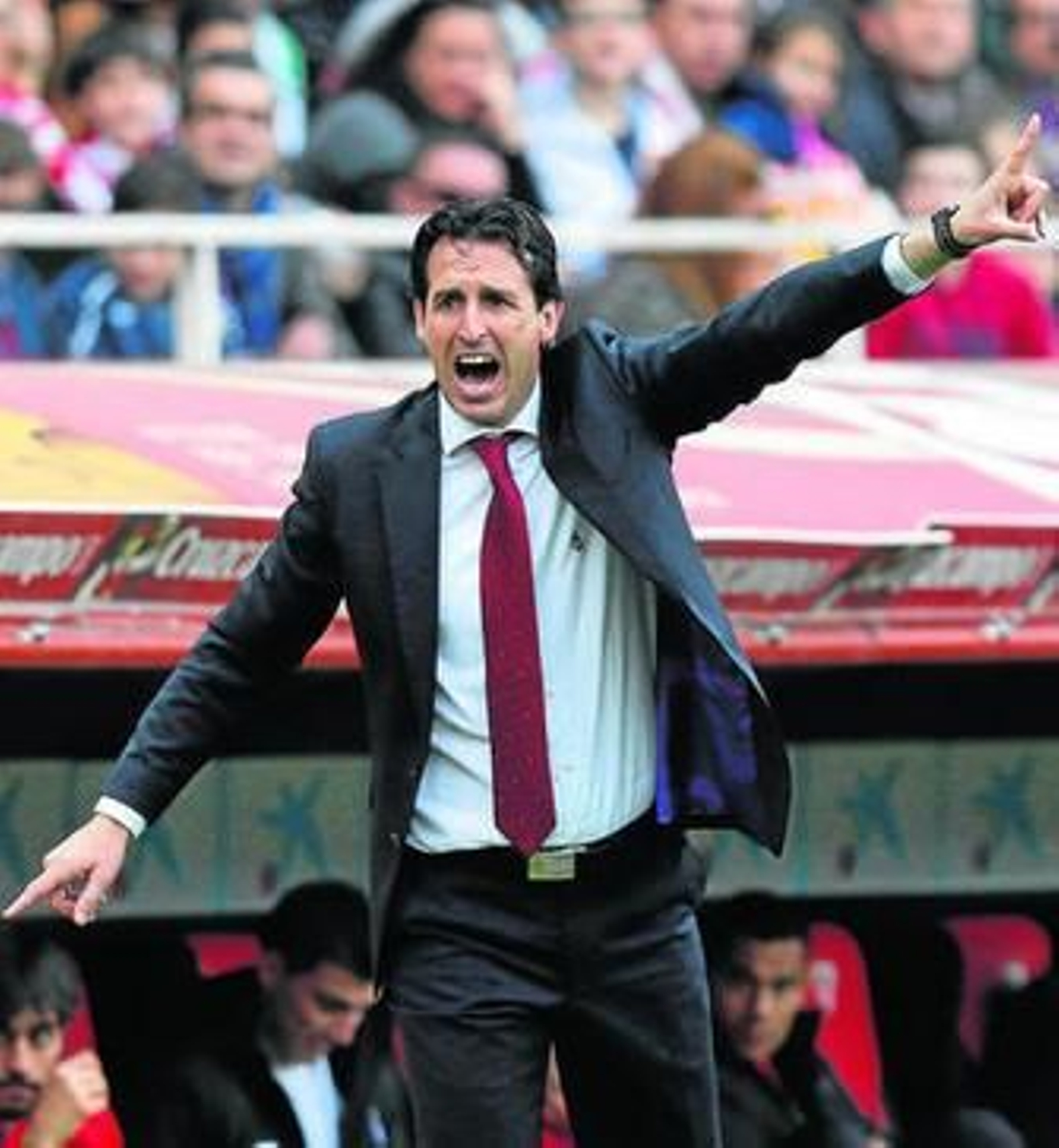 El oportuno refuerzo a la senda trazada